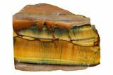 Polished Tiger's Eye Section - South Africa #148246-1